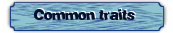 Common traits 