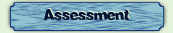 Assessment